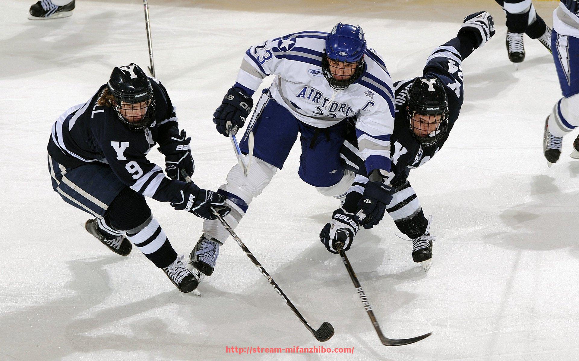 秘饭直播-世俱杯球迷现场涂装互动体验区亮相，看台新潮流